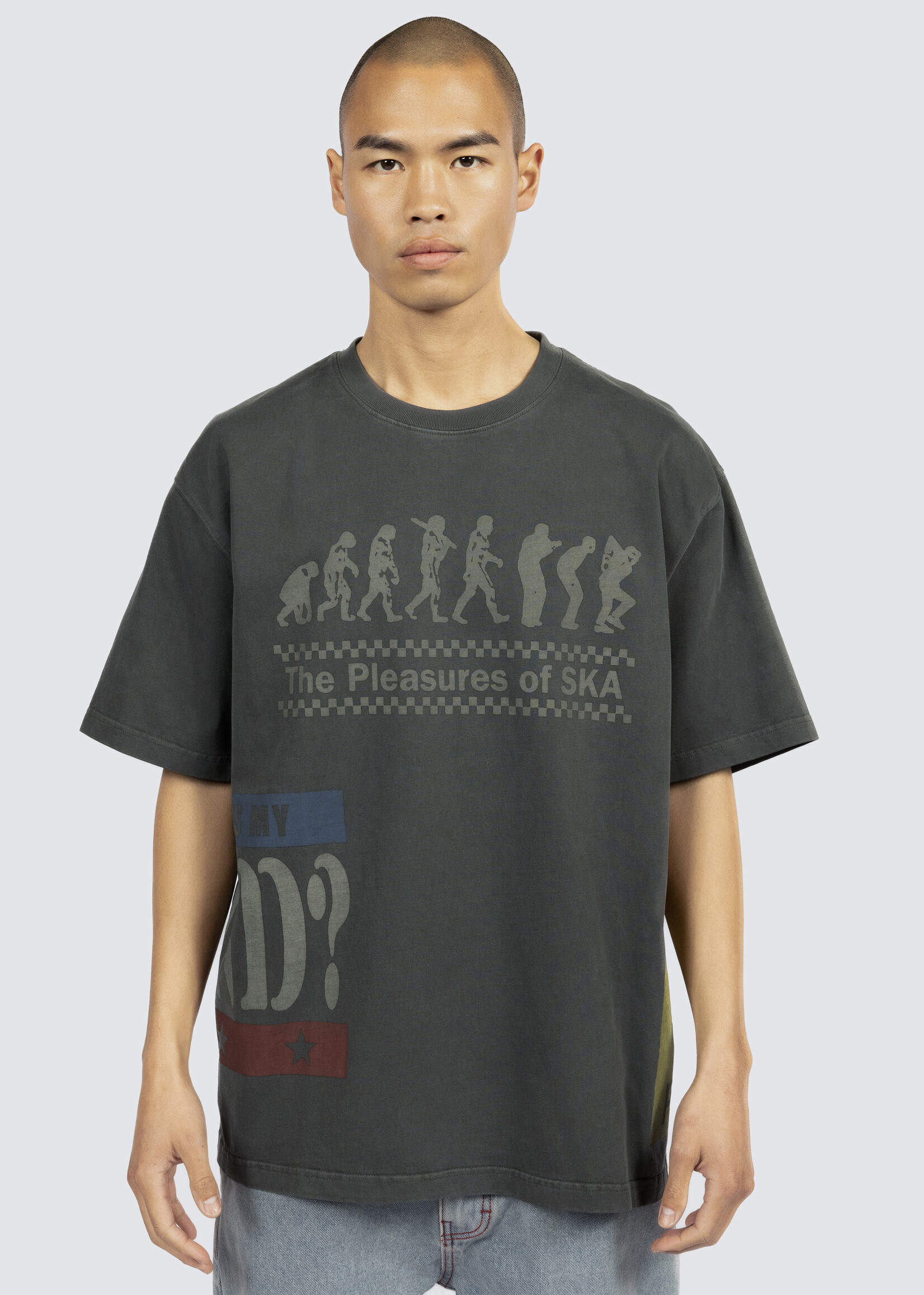PLEASURES Evolution Heavyweight T-shirt in Black