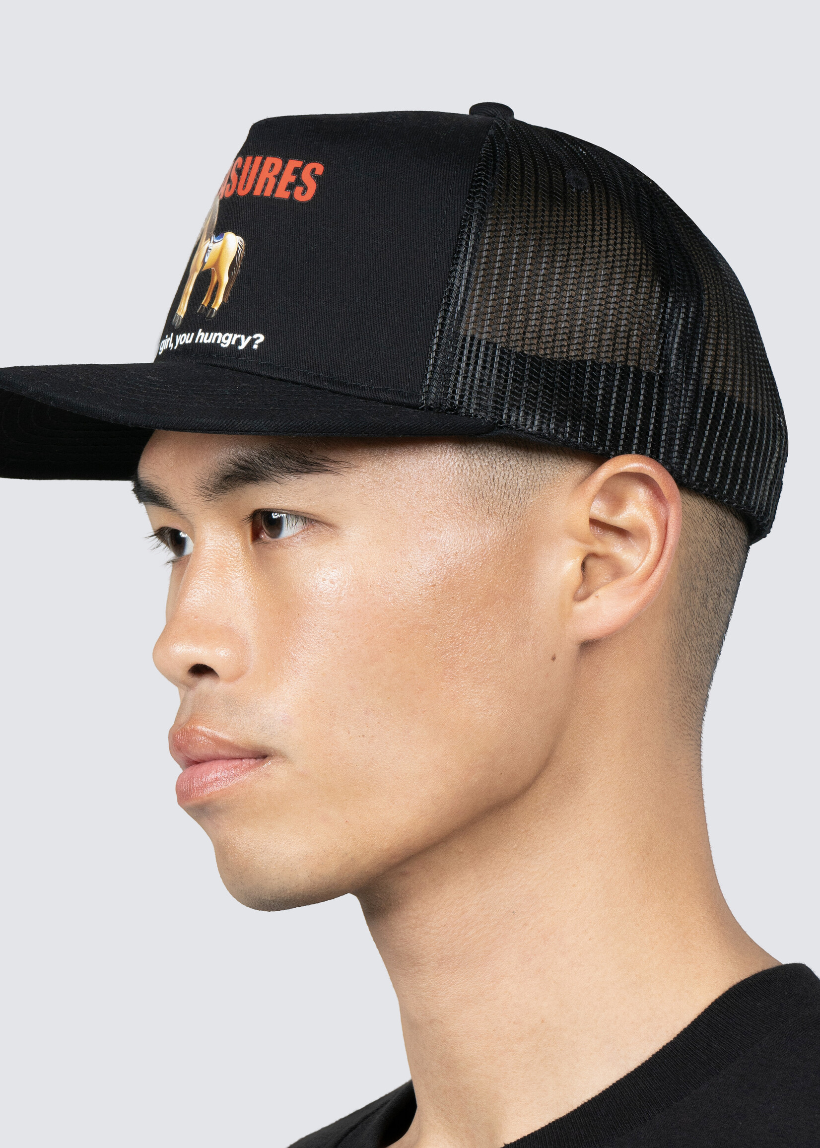 PLEASURES Half Baked Horse Trucker Cap in Black