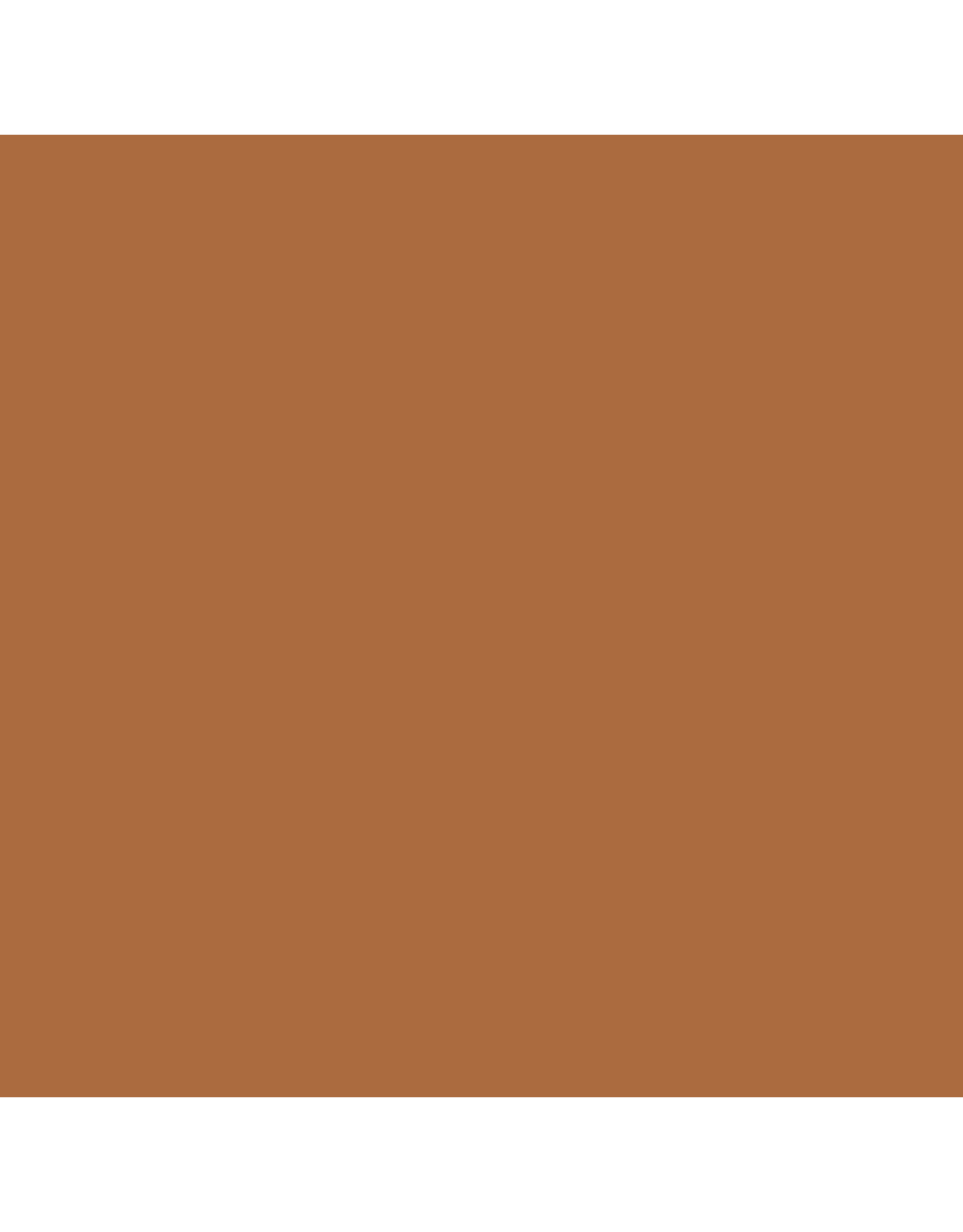 RANGER TIM HOLTZ DISTRESS OXIDE INK PAD RUSTY HINGE