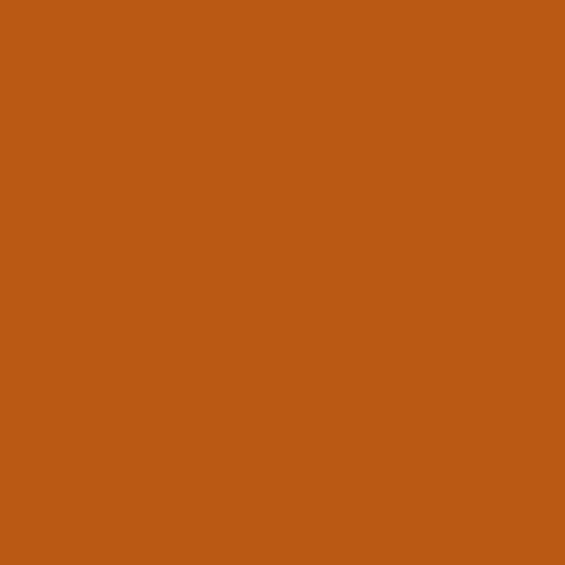 RANGER TIM HOLTZ ALCOHOL INK RUST 0.5 OZ