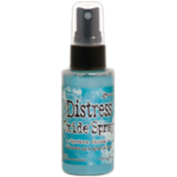 RANGER TIM HOLTZ DISTRESS OXIDE SPRAY BROKEN CHINA 1.9OZ