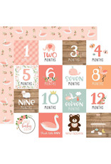 ECHO PARK PAPER ECHO PARK BABY GIRL MILESTONE CARDS DOUBLE SIDED CARDSTOCK 12X12