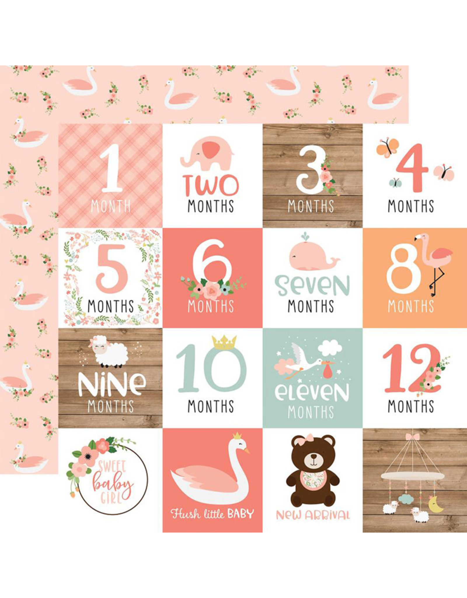 ECHO PARK PAPER ECHO PARK BABY GIRL MILESTONE CARDS DOUBLE SIDED CARDSTOCK 12X12