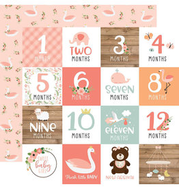 ECHO PARK PAPER ECHO PARK BABY GIRL MILESTONE CARDS DOUBLE SIDED CARDSTOCK 12X12