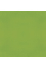 SIMPLE STORIES SIMPLE STORIES COLOR VIBE GREEN CARDSTOCK 12''X12''