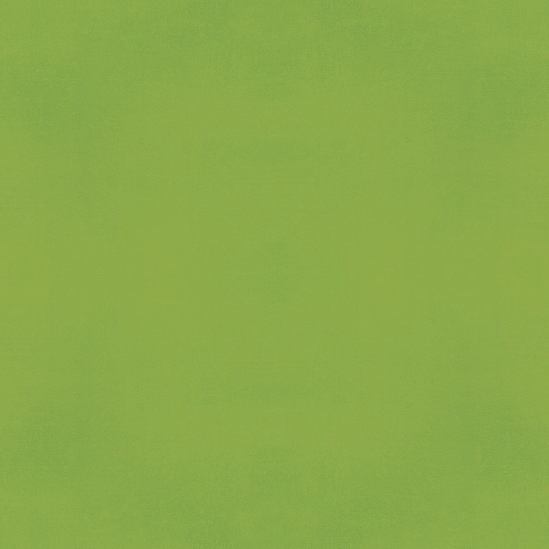 SIMPLE STORIES SIMPLE STORIES COLOR VIBE GREEN CARDSTOCK 12''X12''
