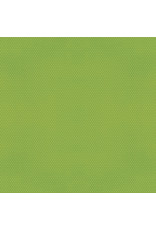 SIMPLE STORIES SIMPLE STORIES COLOR VIBE GREEN CARDSTOCK 12''X12''