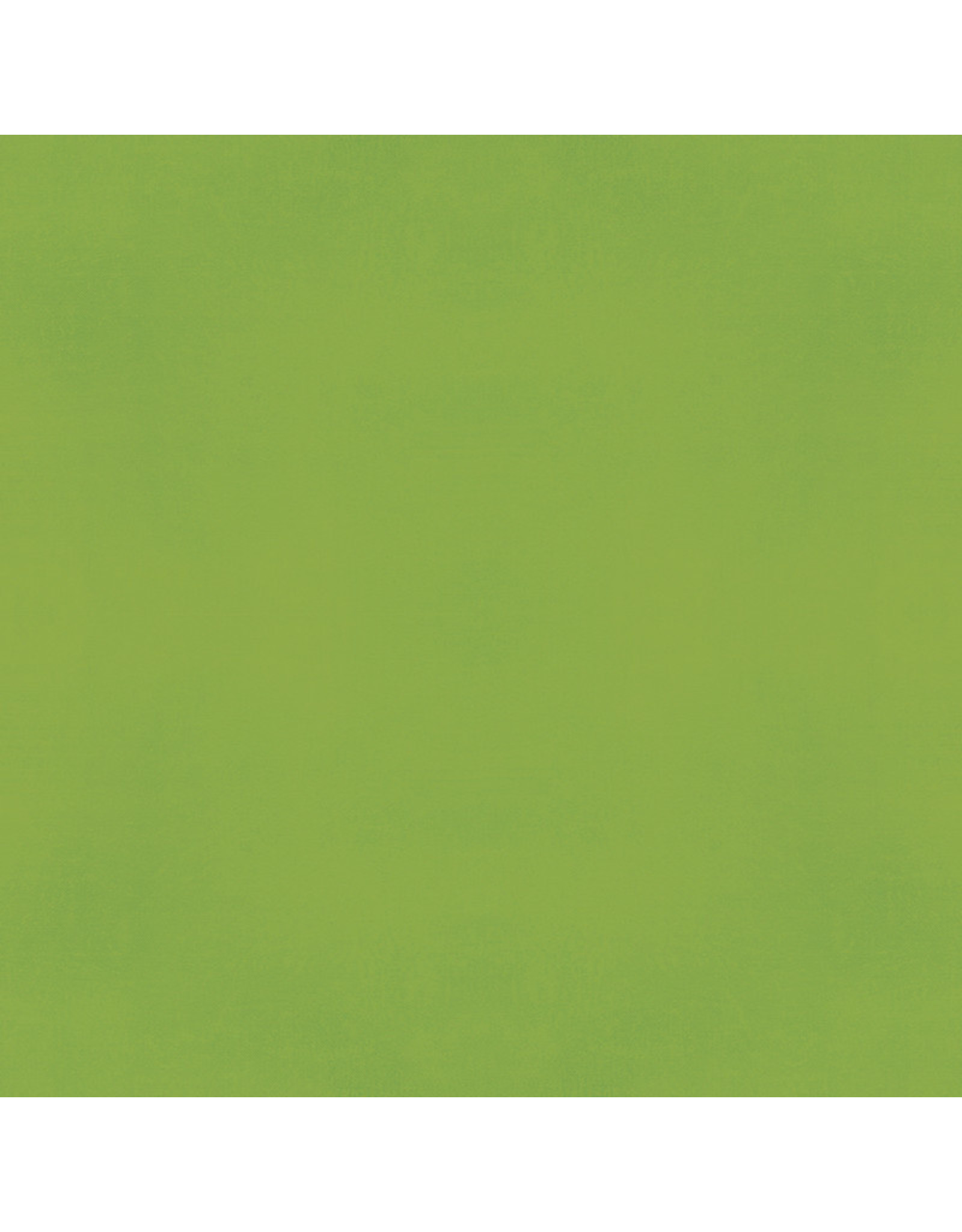 SIMPLE STORIES SIMPLE STORIES COLOR VIBE GREEN CARDSTOCK 12''X12''