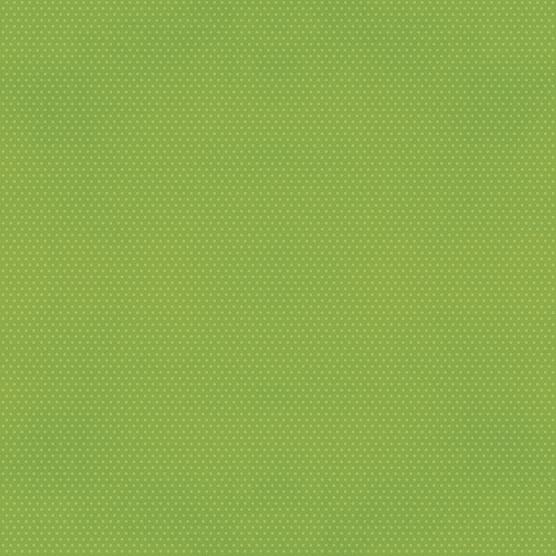 SIMPLE STORIES SIMPLE STORIES COLOR VIBE GREEN CARDSTOCK 12''X12''