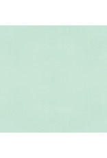 SIMPLE STORIES SIMPLE STORIES COLOR VIBE MINT CARDSTOCK 12''X12''