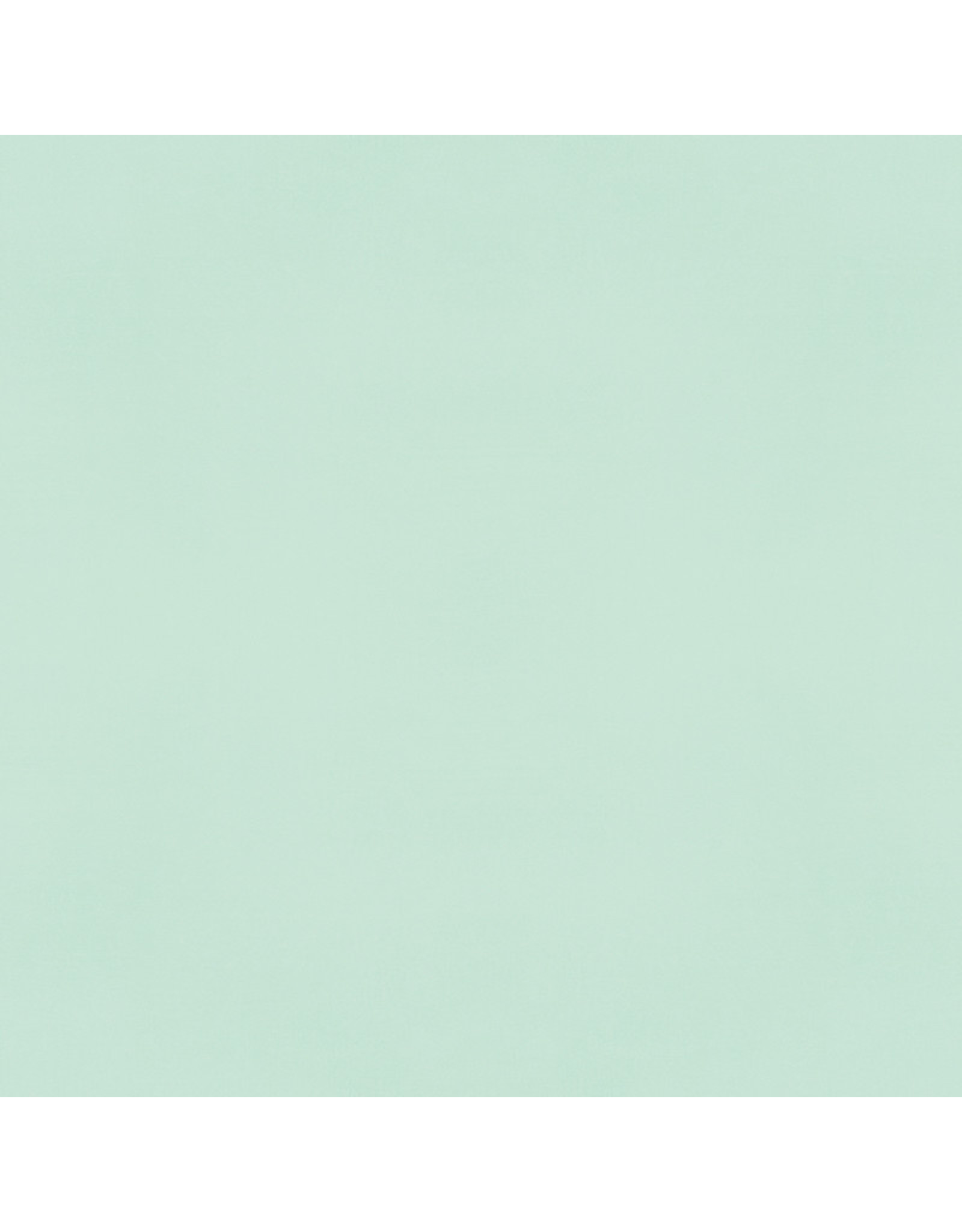 SIMPLE STORIES SIMPLE STORIES COLOR VIBE MINT CARDSTOCK 12''X12''