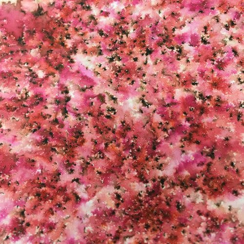 PAPER ARTSY PAPER ARTSY FRANKLY SCARLET INFUSIONS 15ML
