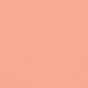 BAZZILL BAZZILL MONO CORAL CREAM CARDSTOCK 12X12