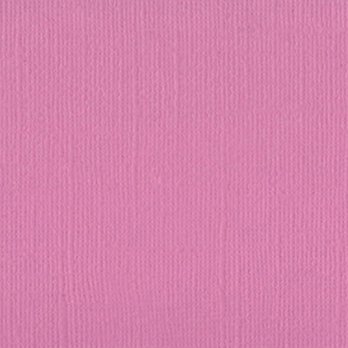 BAZZILL BAZZILL MONO PETUNIA CARDSTOCK 12X12