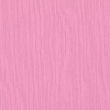 BAZZILL BAZZILL FOURZ FUSSY CARDSTOCK 12X12
