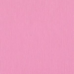 BAZZILL BAZZILL FOURZ FUSSY CARDSTOCK 12X12
