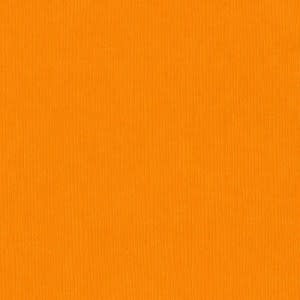 BAZZILL BAZZILL FOURZ CARROT CAKE CARDSTOCK 12X12