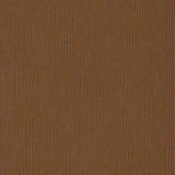BAZZILL BAZZILL FOURZ CINNAMON STICK CARDSTOCK 12X12