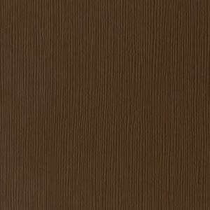 BAZZILL BAZZILL FOURZ CAROB CARDSTOCK 12X12