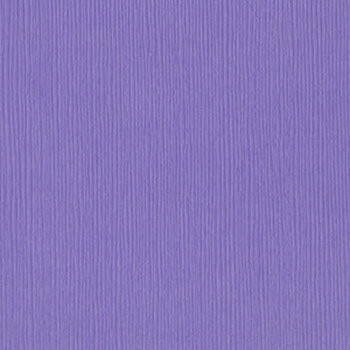 BAZZILL BAZZILL FOURZ WILD PANSY CARDSTOCK 12X12