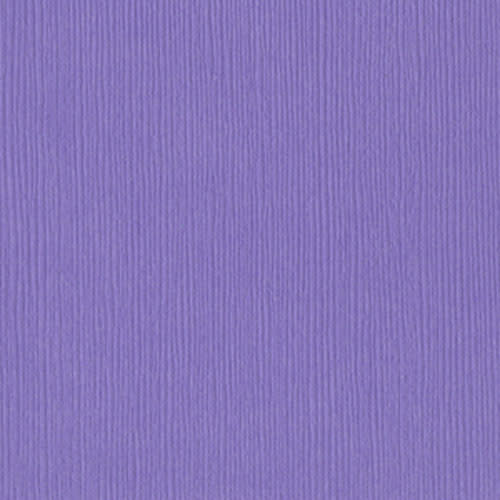 BAZZILL BAZZILL FOURZ WILD PANSY CARDSTOCK 12X12