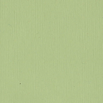 BAZZILL BAZZILL FOURZ SPRING BREEZE CARDSTOCK 12X12