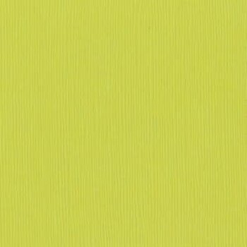 BAZZILL BAZZILL FOURZ GRANNY SMITH CARDSTOCK 12X12