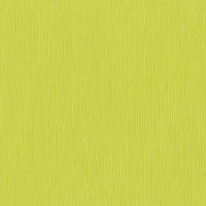 BAZZILL BAZZILL FOURZ GRANNY SMITH CARDSTOCK 12X12