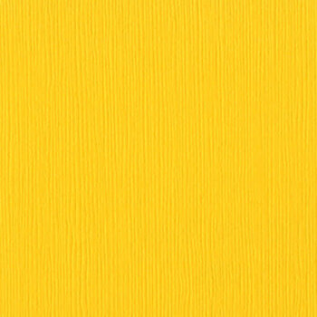 BAZZILL BAZZILL FOURZ MEXICAN POPPY CARDSTOCK 12X12