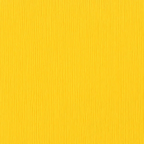 BAZZILL BAZZILL FOURZ MEXICAN POPPY CARDSTOCK 12X12