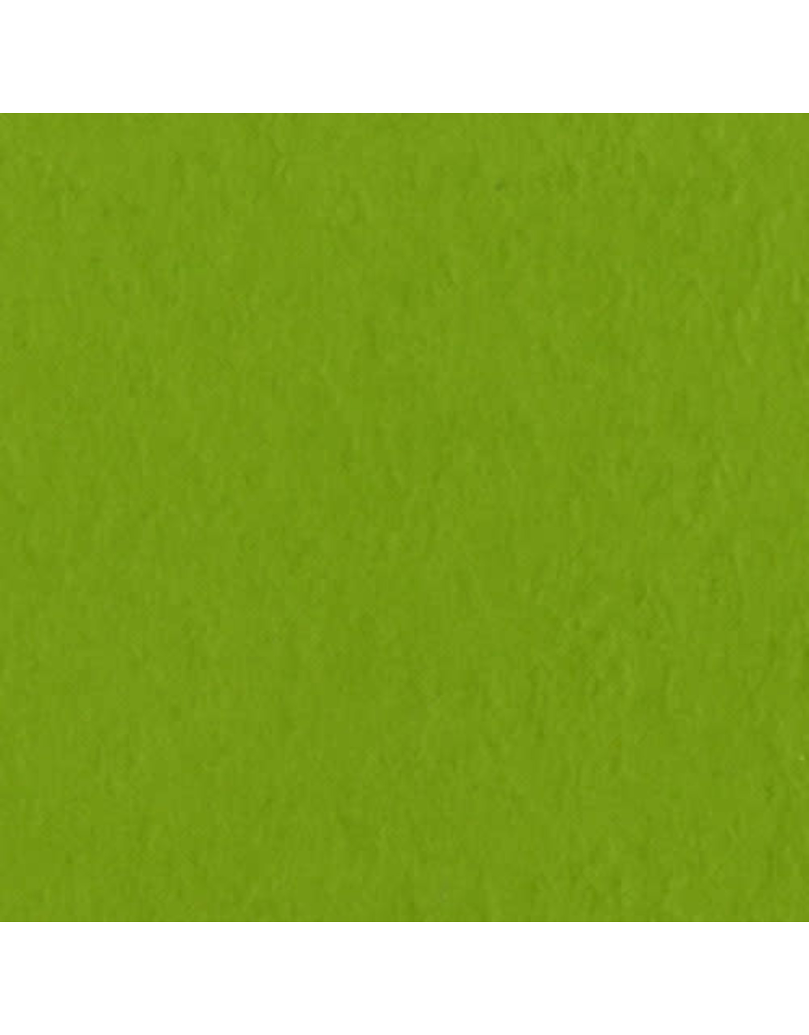 BAZZILL BAZZILL FOURZ INTENSE KIWI CARDSTOCK 12X12