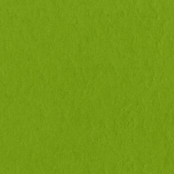 BAZZILL BAZZILL FOURZ INTENSE KIWI CARDSTOCK 12X12