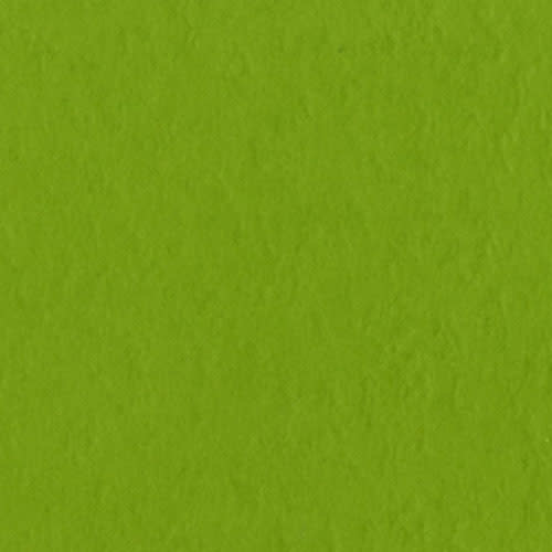 BAZZILL BAZZILL FOURZ INTENSE KIWI CARDSTOCK 12X12
