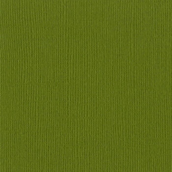 BAZZILL BAZZILL MONO HILLARY CARDSTOCK 12X12