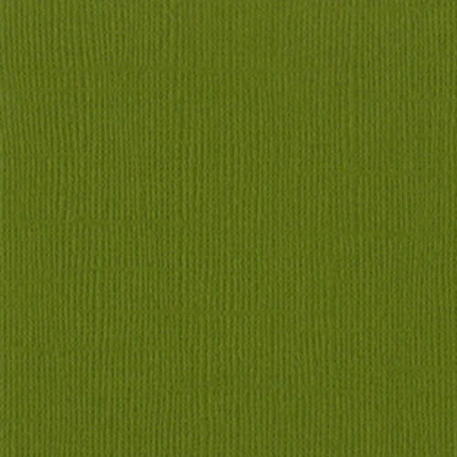 BAZZILL BAZZILL MONO HILLARY CARDSTOCK 12X12