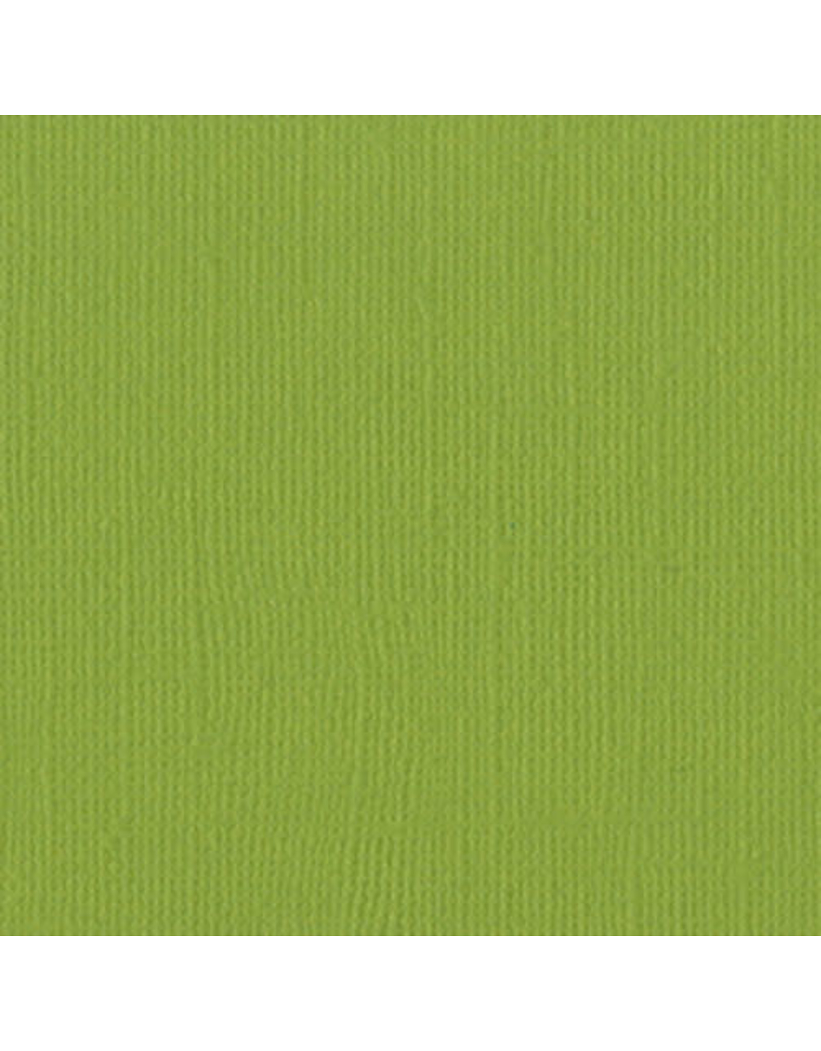 BAZZILL BAZZILL MONO PARAKEET CARDSTOCK 12X12