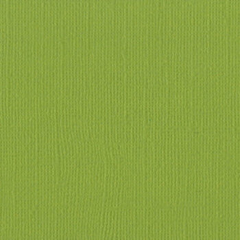 BAZZILL BAZZILL MONO PARAKEET CARDSTOCK 12X12
