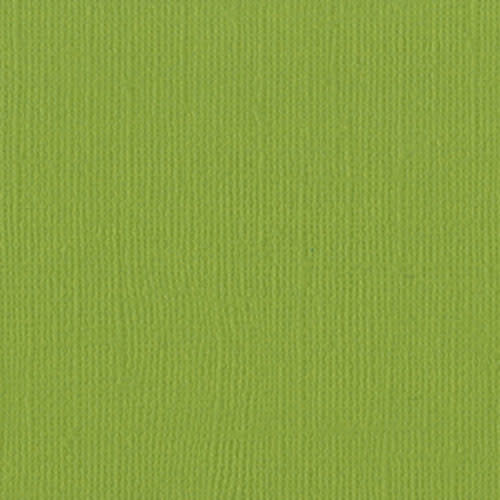 BAZZILL BAZZILL MONO PARAKEET CARDSTOCK 12X12
