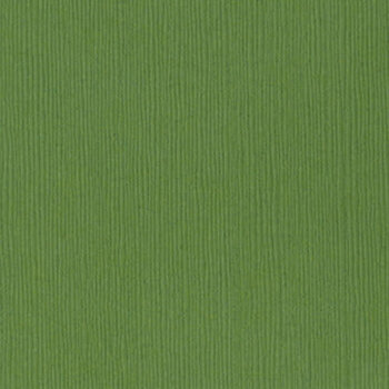 BAZZILL BAZZILL FOURZ GUACAMOLE CARDSTOCK 12X12