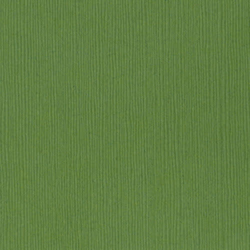 BAZZILL BAZZILL FOURZ GUACAMOLE CARDSTOCK 12X12