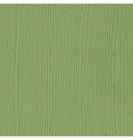 Aspen – 12x12 Dark Green Cardstock Bazzill Textured Scrapbook Paper Single