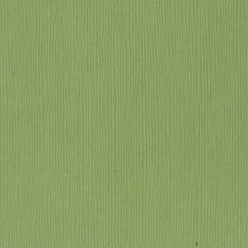 BAZZILL BAZZILL FOURZ LILY POND CARDSTOCK 12X12