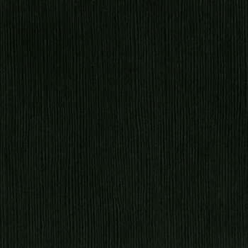 BAZZILL BAZZILL FOURZ BLACKBIRD CARDSTOCK 12X12