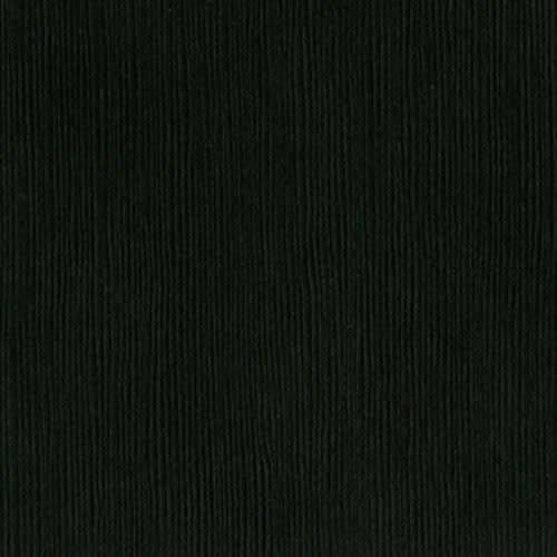 BAZZILL BAZZILL FOURZ BLACKBIRD CARDSTOCK 12X12