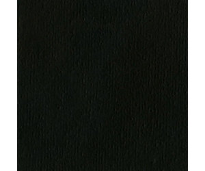 BAZZILL BAZZILL ORANGE PEEL BLACK CARDSTOCK 12X12 - Scrapbook Centrale