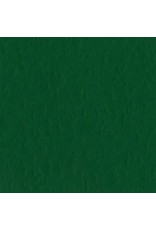 BAZZILL BAZZILL MONO CLASSIC GREEN CARDSTOCK 12X12