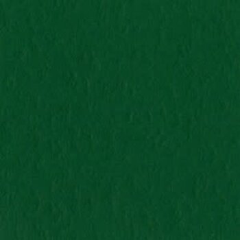 BAZZILL BAZZILL MONO CLASSIC GREEN CARDSTOCK 12X12