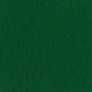 BAZZILL BAZZILL MONO CLASSIC GREEN CARDSTOCK 12X12