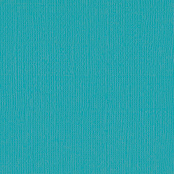 BAZZILL BAZZILL MONO PEACOCK CARDSTOCK 12X12