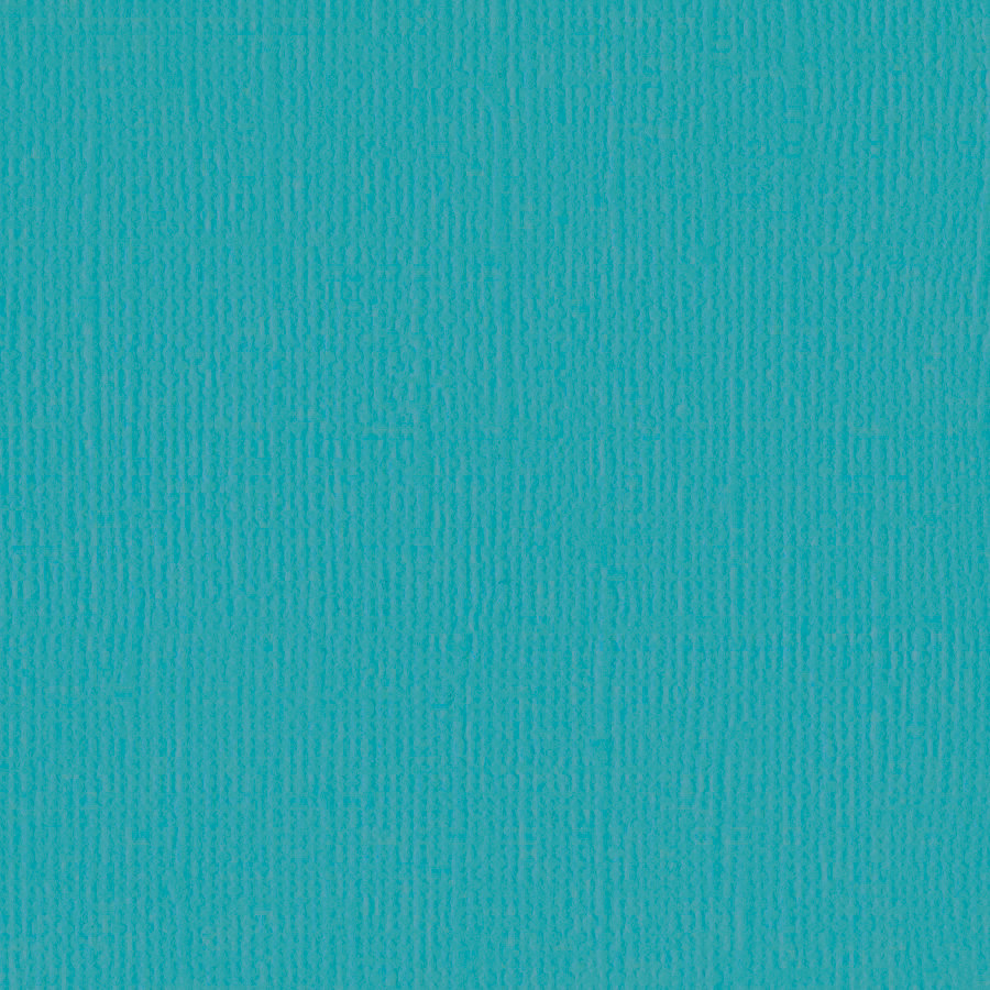 BAZZILL BAZZILL MONO PEACOCK CARDSTOCK 12X12